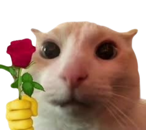 Gatito 2