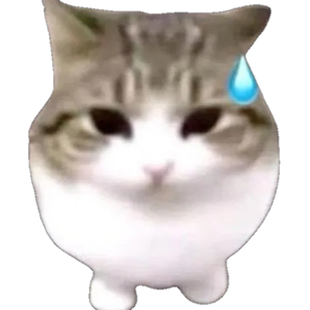 Gatito de condiciones